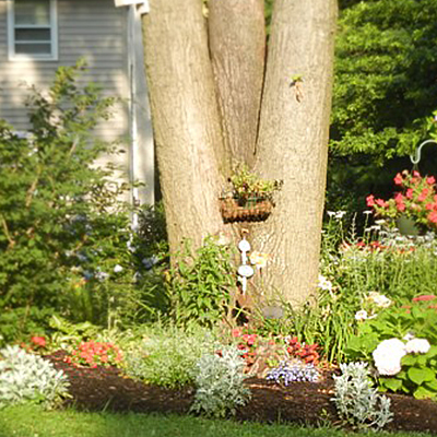 Decorated tree and mulch base