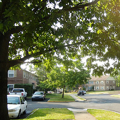 Looking down Stonegate Road